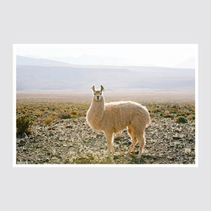 Atacama Desert