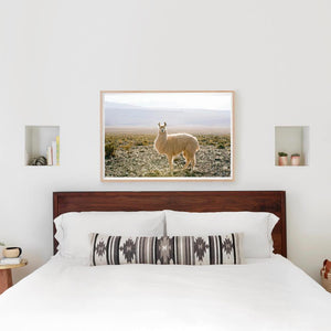 Atacama Desert