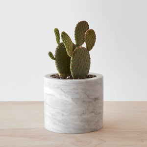 Puebla Marble Planter - Tall