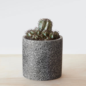 Sepon Terrazzo Planter