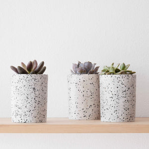 Sepon Terrazzo Vessels - Set of 3