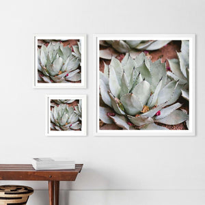 High End Photography with White Frame