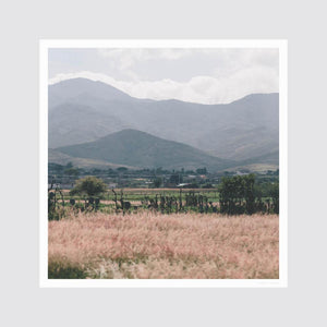 Landscape Photography 