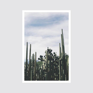 Limited Edition Fine Art Print from Oaxaca, Mexico