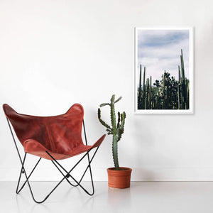 Styled Cactus Fine Art Print