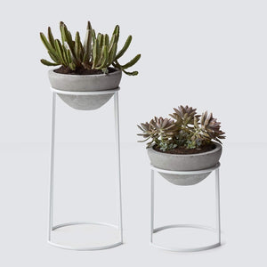 Polanco Concrete Planters - White