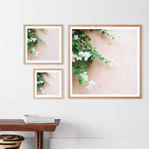 Gallery Wall with Photography from Morocco 