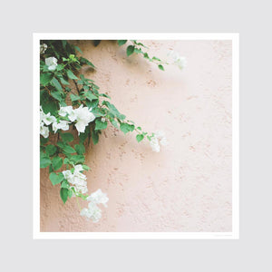 Art Photography by The Citizenry