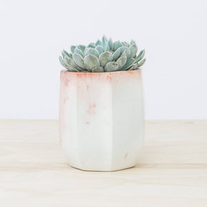 Modern Geometric Planter in Rare Soapstone
