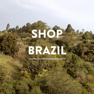 ZZZ - Shop Brazil
